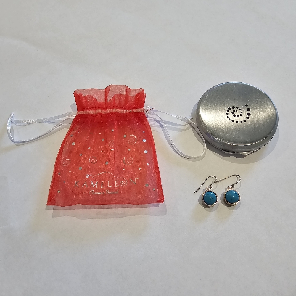 Kameleon Earrings with Turquoise JewelPops and Storage Compact